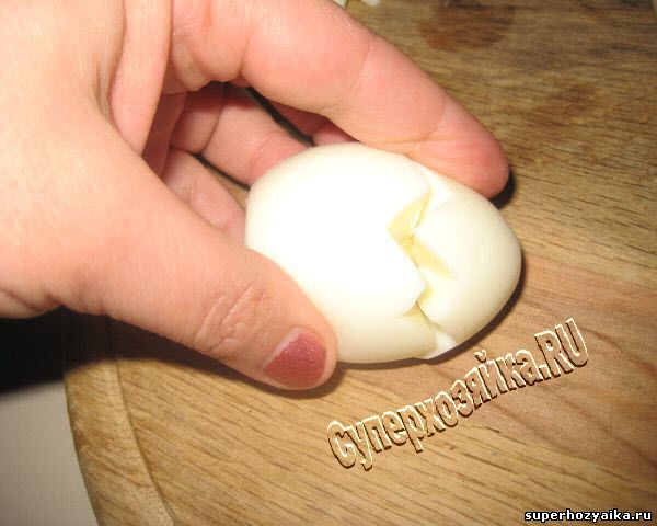 Цыплята из фаршированных яиц