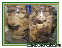 Маринованные грибы вешенки – очень вкусный и быстрый рецепт. Закуски из грибов. Рецепт маринованных вешенок